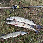 Loma-asunnot Pankkotupa Yrjo Punkaharju