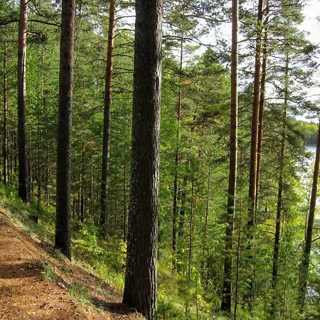 Σπίτι διακοπών Pankkotupa Yrjo