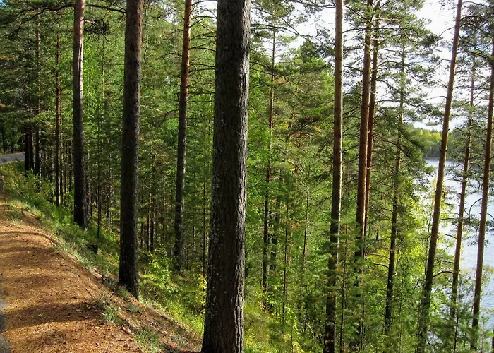 펜션 Pankkotupa Yrjo