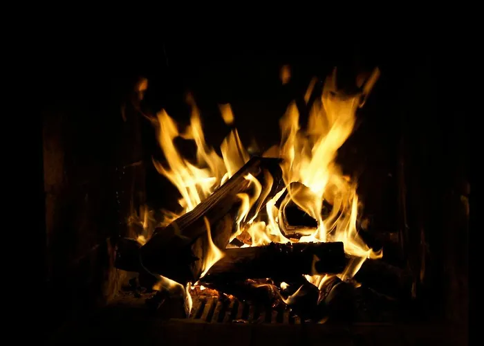 펜션 Pankkotupa Yrjo 푼카하류