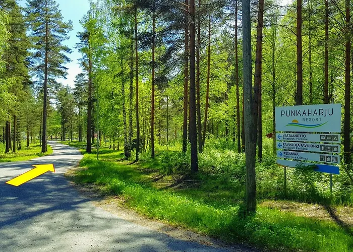 Pankkotupa Yrjo 펜션 푼카하류