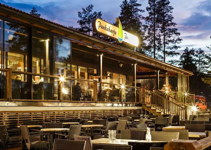 Pankkotupa Yrjo Punkaharju