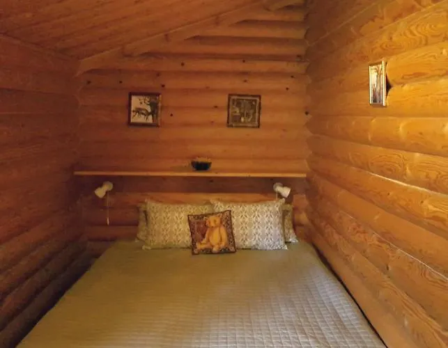 Pankkotupa Yrjo 펜션 푼카하류